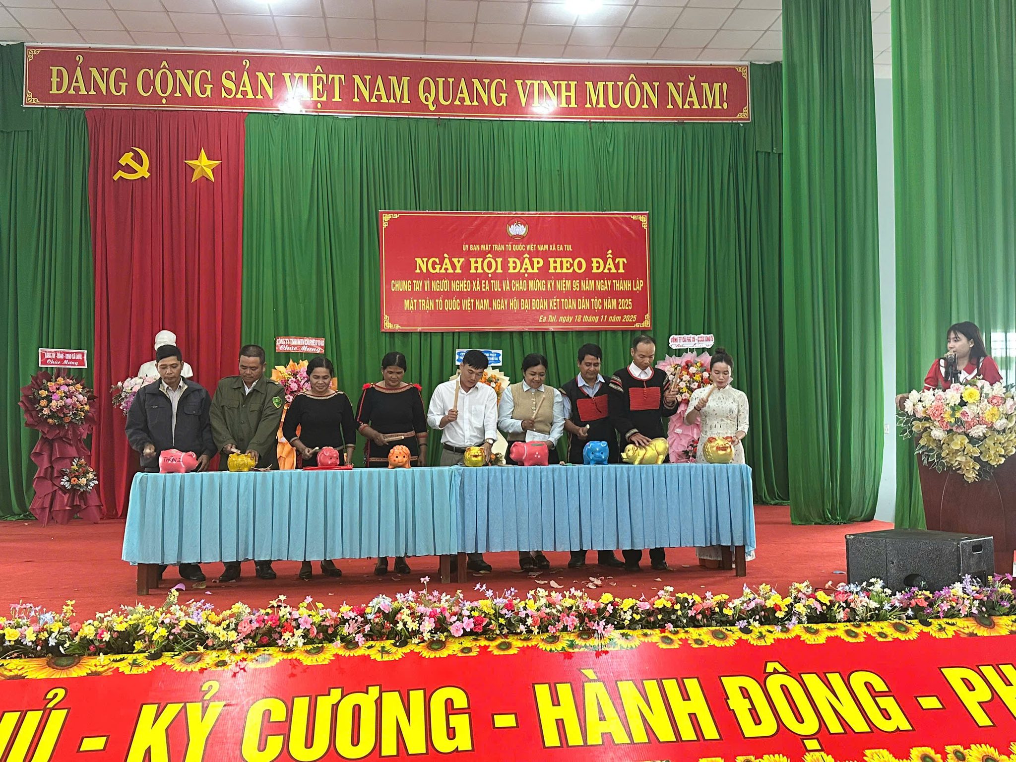 dap heo dat 2